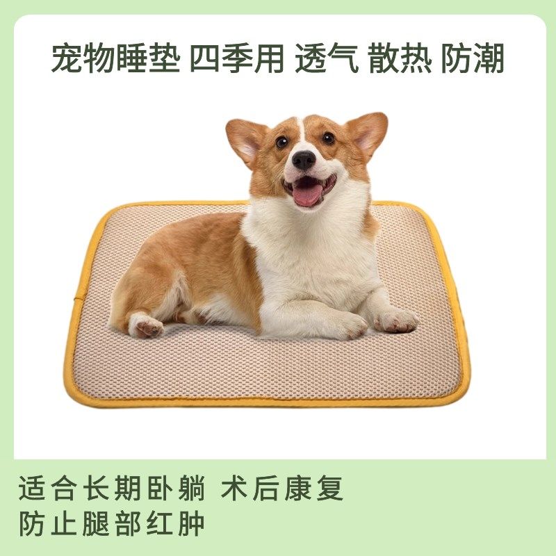 狗狗睡垫四季透气防潮可洗防撕咬弹性防褥疮术后恢复宠物医院狗舍,宠物/宠物食品及用品,猫狗垫子,淘宝优惠券,粉丝福利购,淘宝优惠卷