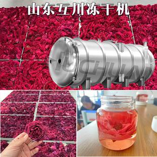 玫瑰花茶叶冻干机200平方米枸杞沙棘原浆真空冻干设备可远程控制