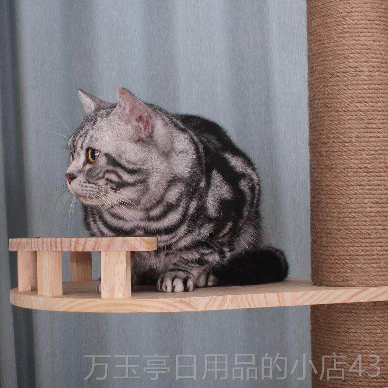 高档猫奴顶天天立地爬架通柱猫猫咪通天柱实木猫架子猫窝一猫体树