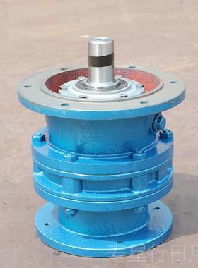 正品摆线减速机BLLD/LD/B/XL国标搅拌机变速齿轮D小型厂家BXW当天