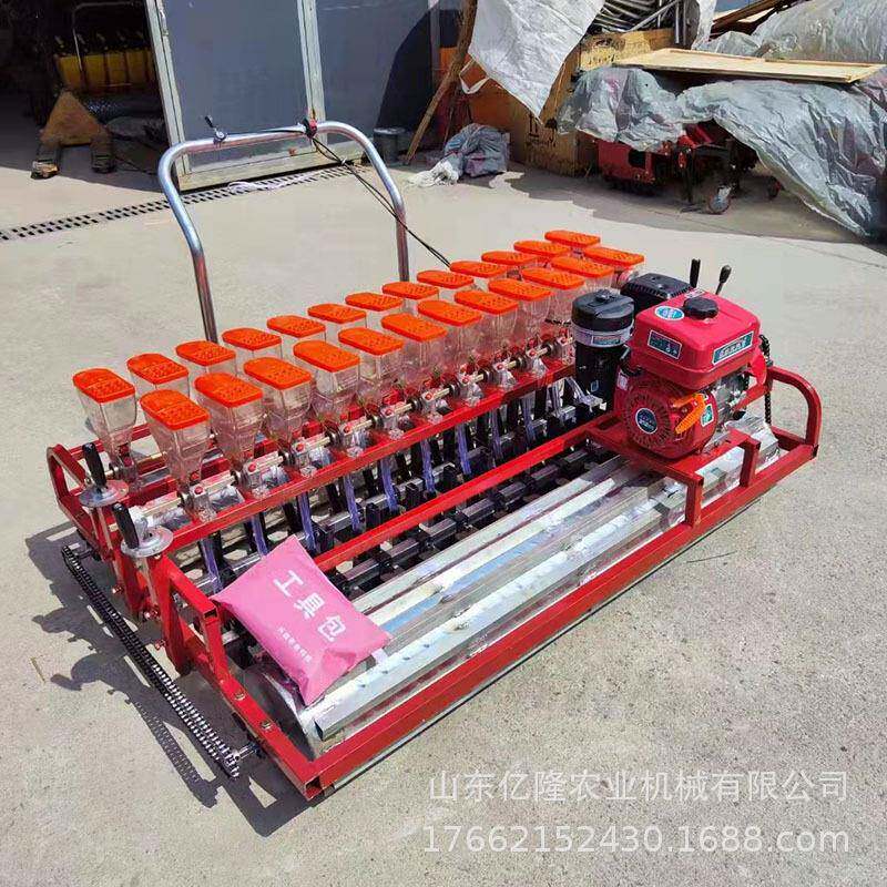 双排汽蔬菜种播机上海青大头yl-bzj菜精播机茼蒿菠油菜点播机