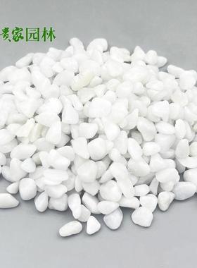 树坑山水庭院造枯景石子白石鱼缸铺底834白花盆铺面用白色鹅卵卵