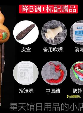 正品子乐葫小芦丝紫竹初学C调b专调adgf调小学降生儿童成人业演奏