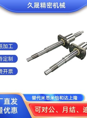 滚珠丝杠丝杆C-BSSC/BSSCK/BSST/BSSZ/BSSRK0802 1004 1002 1204