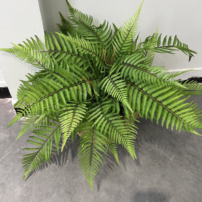 仿真蕨叶波斯草仿真蕨类植物蕨草手感软胶植物墙造景配材桫椤蕨叶