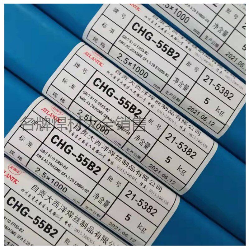 大西洋CHG-55B2/R30 55B2V/R31 2B3/R 55-B耐热钢氩弧焊丝