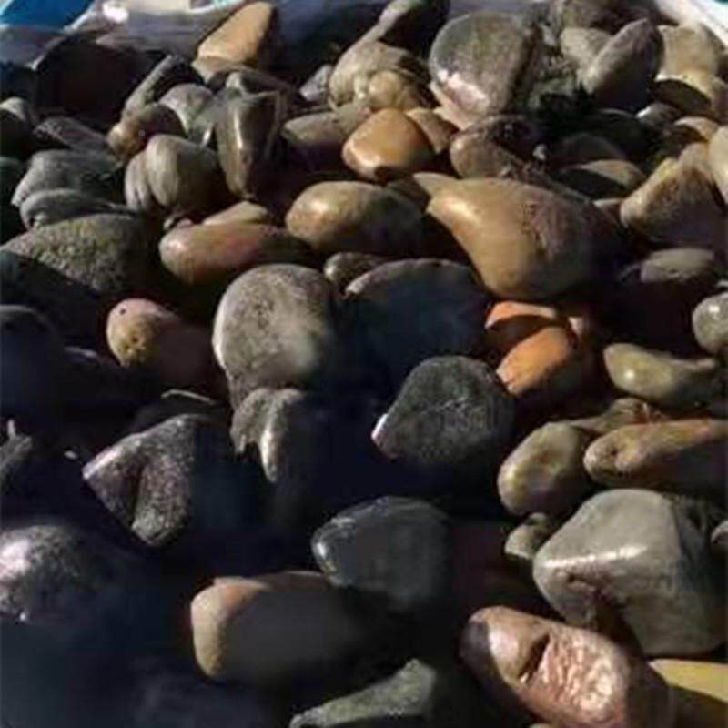 鹅卵石里原石5-8公分鹅暖石湖河874南电站池滤油鹅变暖石杂色黑黄