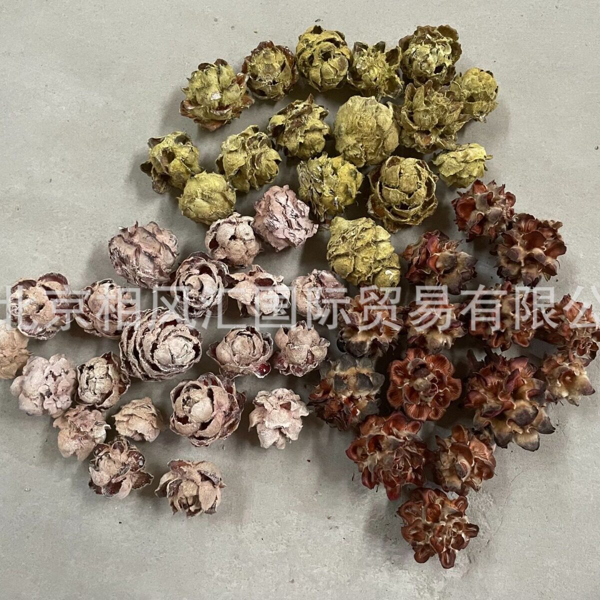 【木莲花】进口干花天然植物自然花家居摆设装饰插花拍照道具