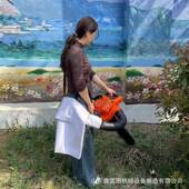 灭小型手OCB叶提汽油动力落叶枯叶粉碎吸机BE260风力火吹雪鼓风机