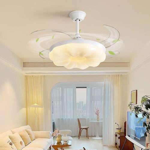 一朵风扇灯客厅灯简约现吊代289护云眼卧室南瓜体隐形静音餐厅吊