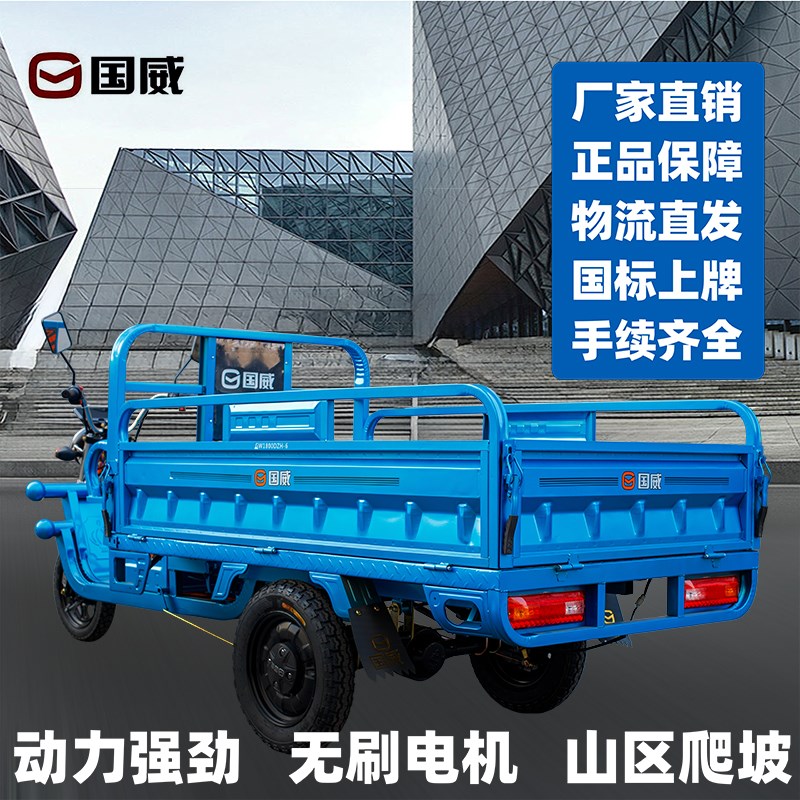 国威电动三轮车载重王拉货新款家用车拉货三轮车快递车农用车