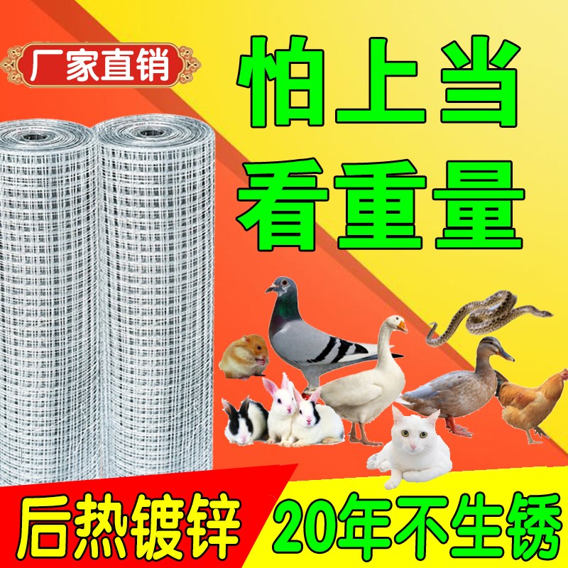 铁丝网围栏网养殖网热镀锌电焊网片网格钢丝护栏养鸡网小孔防护网