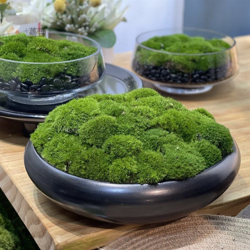 中式永生苔藓摆件 酒店茶几洽谈桌书房微景观盆景售楼处桌面绿植