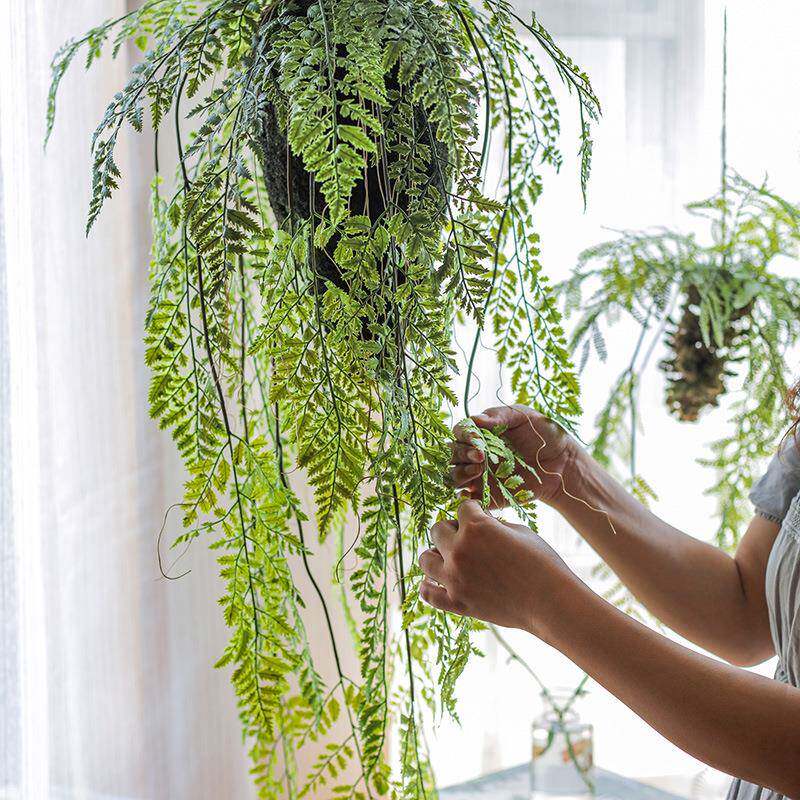 新品蕨类植物吊球吊饰空中垂吊挂饰绿植花艺壁挂橱窗装饰