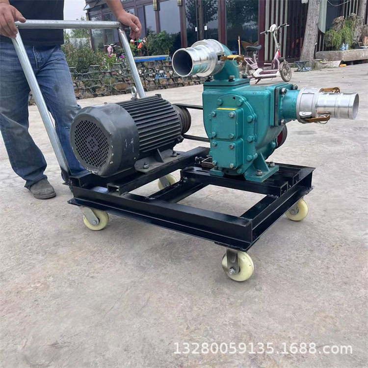家用吸粪机 推车式抽粪泵移动款 抽污水泥浆水 化粪池大面积清污
