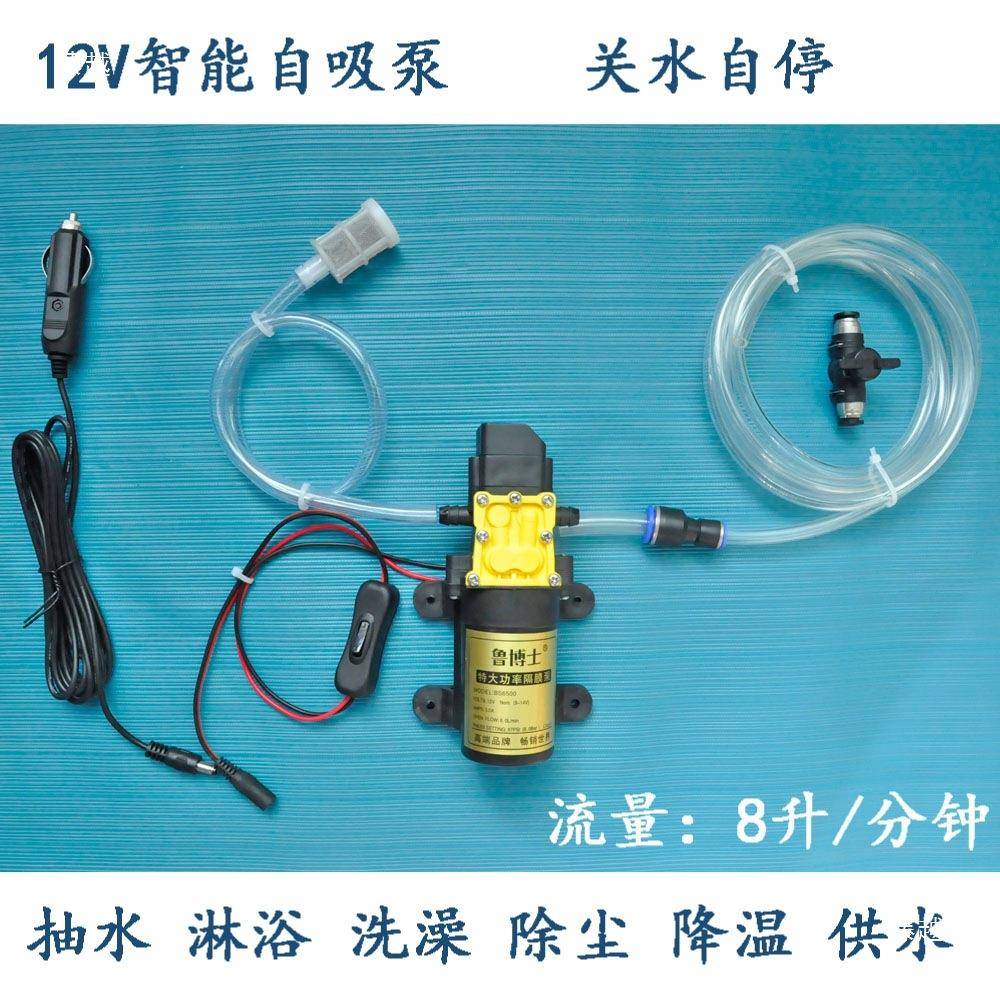 12V泵自吸泵抽水淋浴车载户外房车除尘降温浇花水泵关水自停
