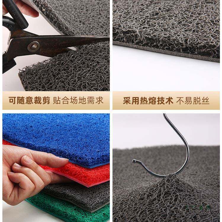 丝圈地垫门垫地毯客厅入户门口脚垫门厅塑料室外家用防滑垫子定
