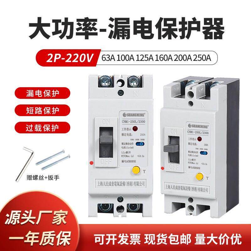 家用总闸漏电断路器 大功率单相220V家用漏保空气开关闸刀2P250A