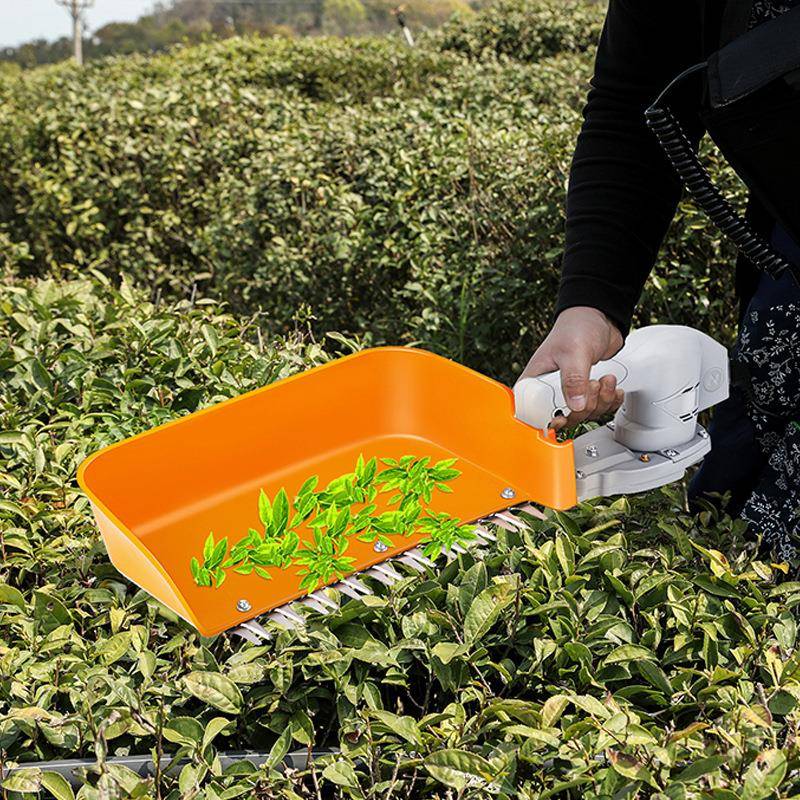 手提电式电动采茶机4v便携式2多用形摘茶绿机单人小充型篱4CD-30A