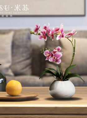式仿jd101312真蝴中蝶兰花艺套装摆件摆创意花客厅餐桌假桌面小盆