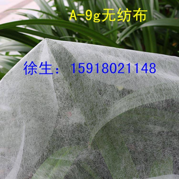 A-9克色PP丙布纶无无品牌/纺不织包装防布尘透气环保白轻薄