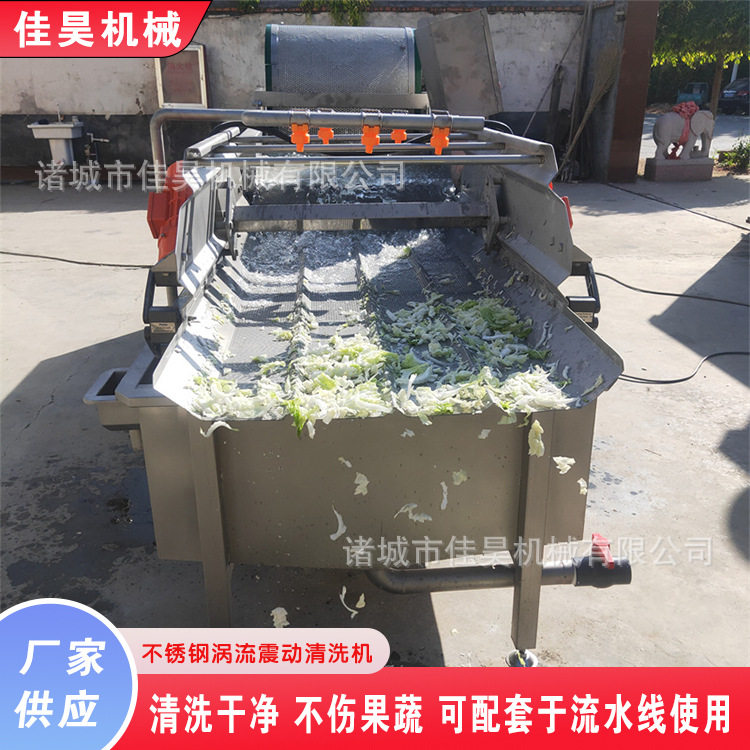 全自动涡流大容量蔬菜清洗沥水机
