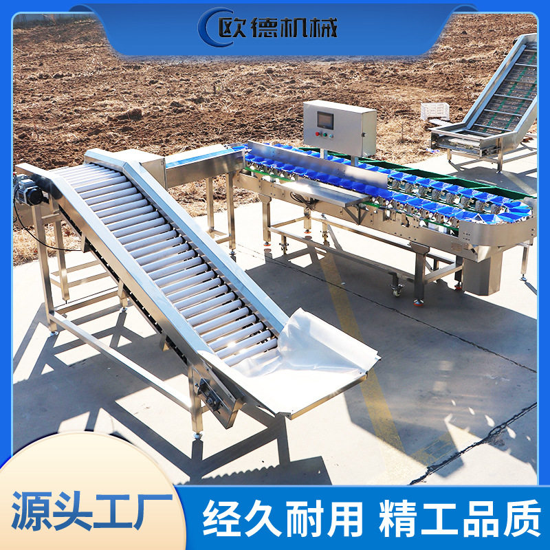小龙虾自动称重分级清洗机