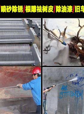 飞驰黑猫220V380V大功率商用超养压殖场清洗机AVH除高锈树剥皮洗