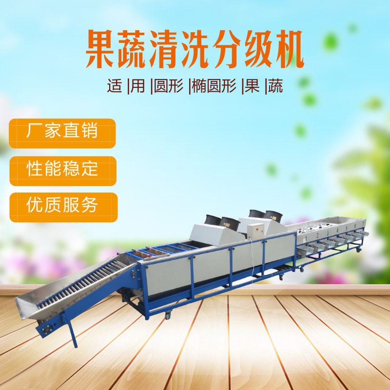 果蔬清洗分选提升机小青柑脐橙