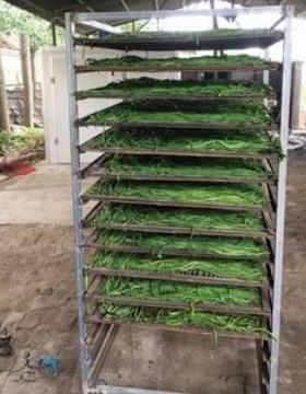 角烘MEA干机豆菜豆空气能泵干机蔬菜干豆热角烘干烘房