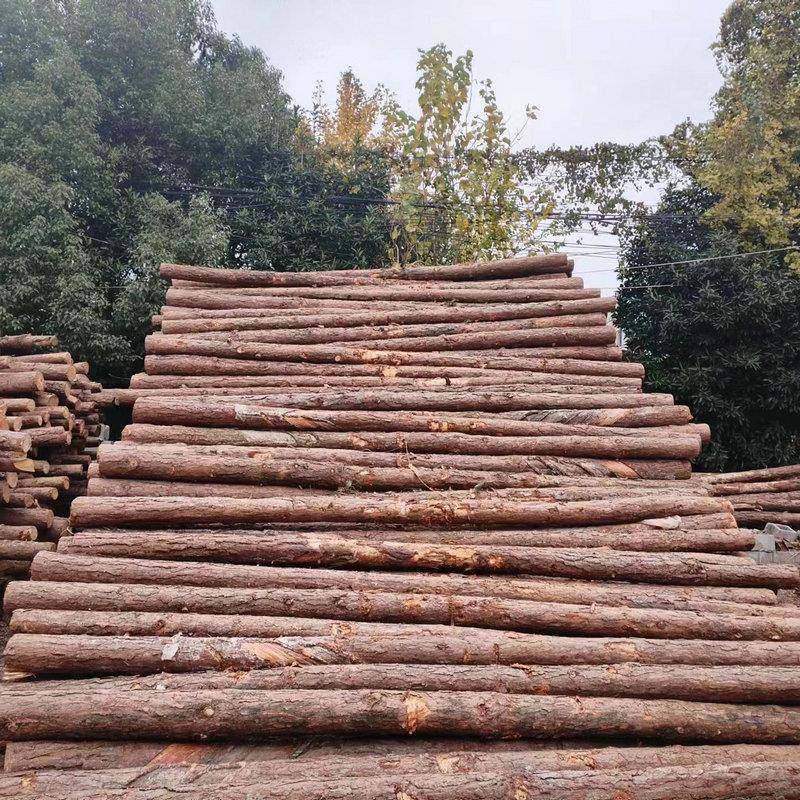 木林道场直发447原木桩防汛河打筑桩木建地基护坡工程木材家具松