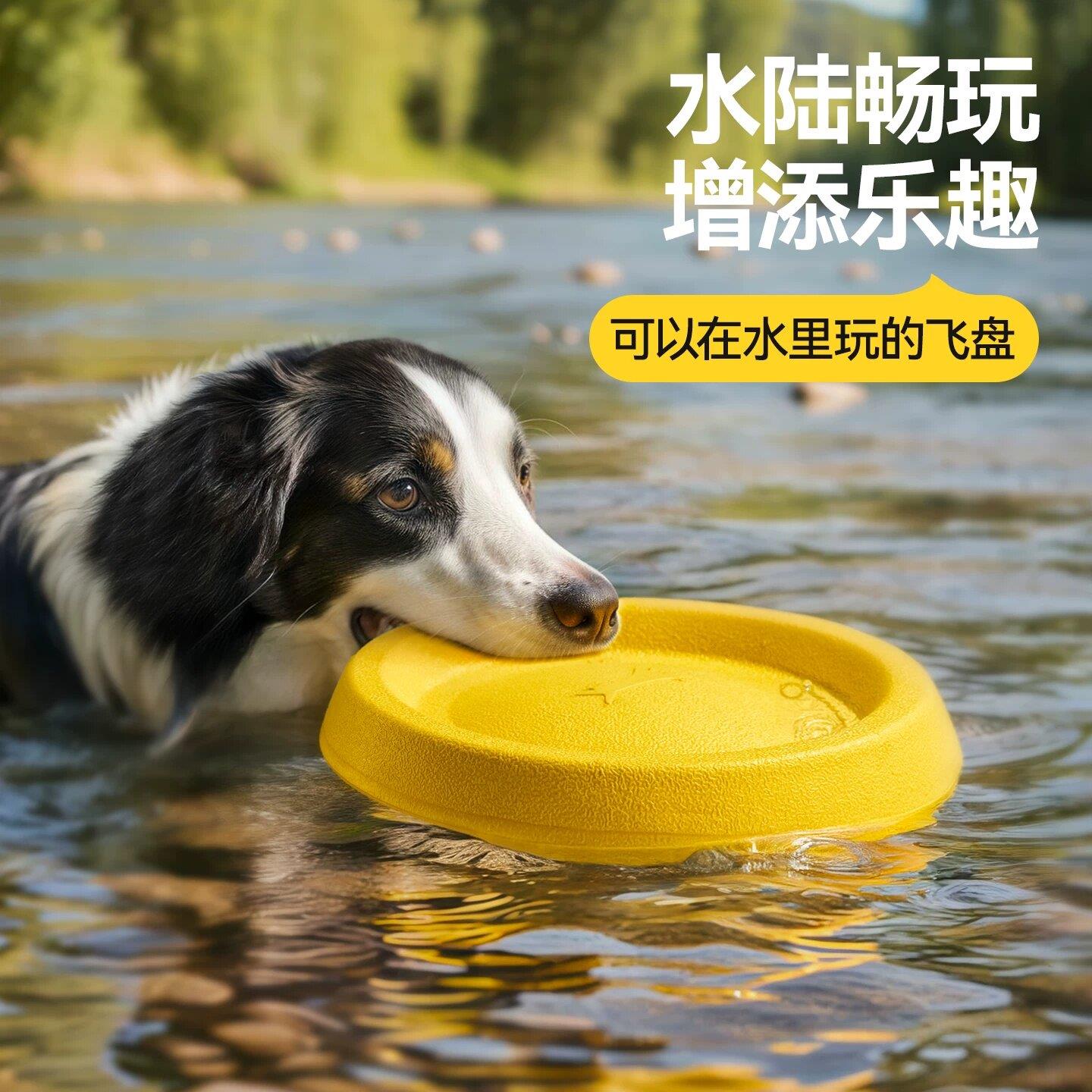 狗狗玩具飞盘狗专用飞盘耐咬金毛边牧可浮水户外训狗训练飞盘