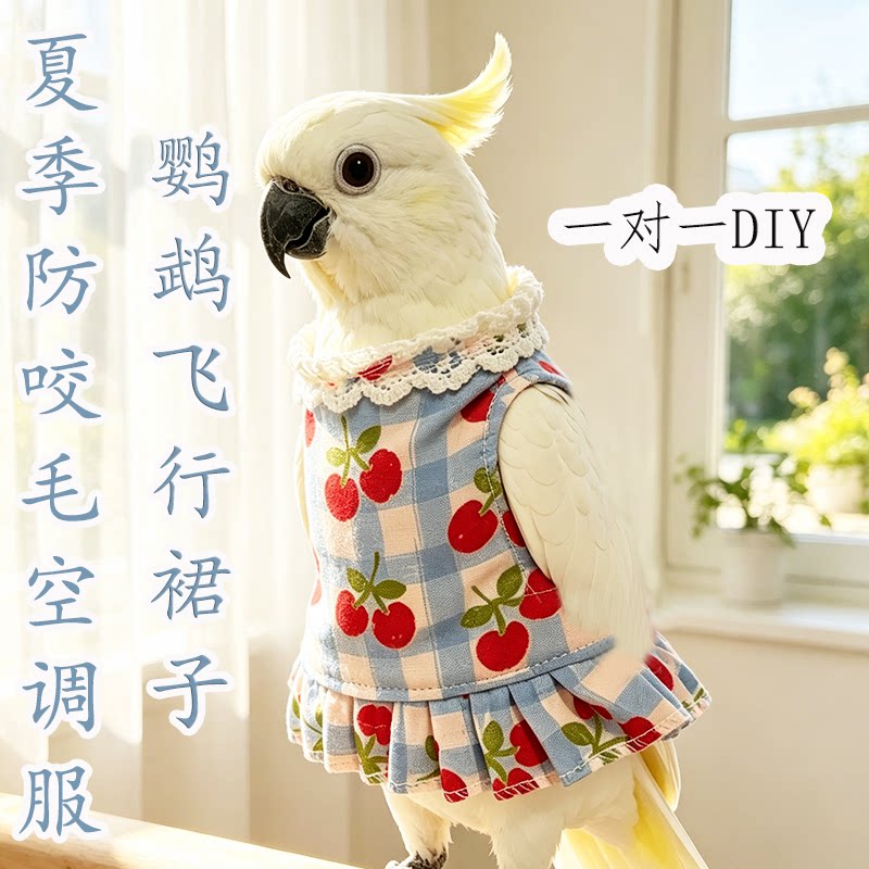 樱桃蕾丝鹦鹉背心裙子飞行空调服金刚灰机亚马逊葵花防咬毛鸟衣服