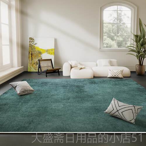 高档系色地纯毯客厅轻奢高级茶几毯免洗可擦用卧室沙发毯日风家式