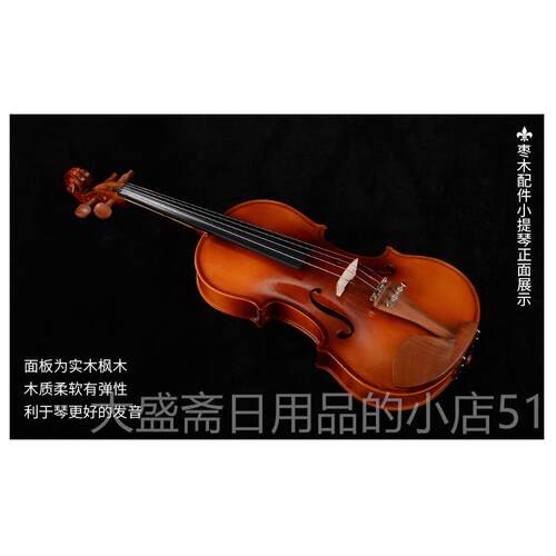 高档木提琴儿童成人初学者小提琴练进实小阶考习级演奏小提琴乐器