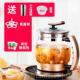 高档无胶和庭6025养水生壶全加自煮动厚玻璃茶壶中药壶煎药大容量