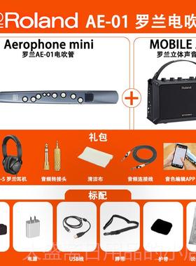 高档Roand兰电吹管电子l克斯AE-01C 萨AE-05C老年罗人初学管乐民