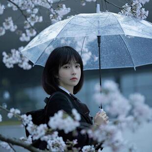 爆款8骨拱形透明伞雨伞高级感拍照阿波罗自动长柄伞蘑菇伞女