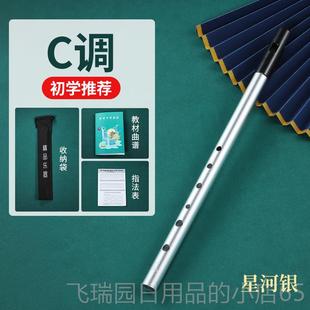 正品爱入尔兰专哨笛D调款C调降B调金属笛口笛竖笛初学者门业六孔