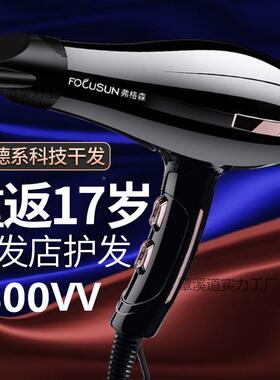 力FSE电吹风发廊专用大功率理干发店机大风家用负离子护发速风筒