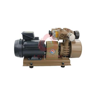 LEYNW/莱诺碳片干式X旋554片真空泵L0025信封机气泵O裱机真纸空泵