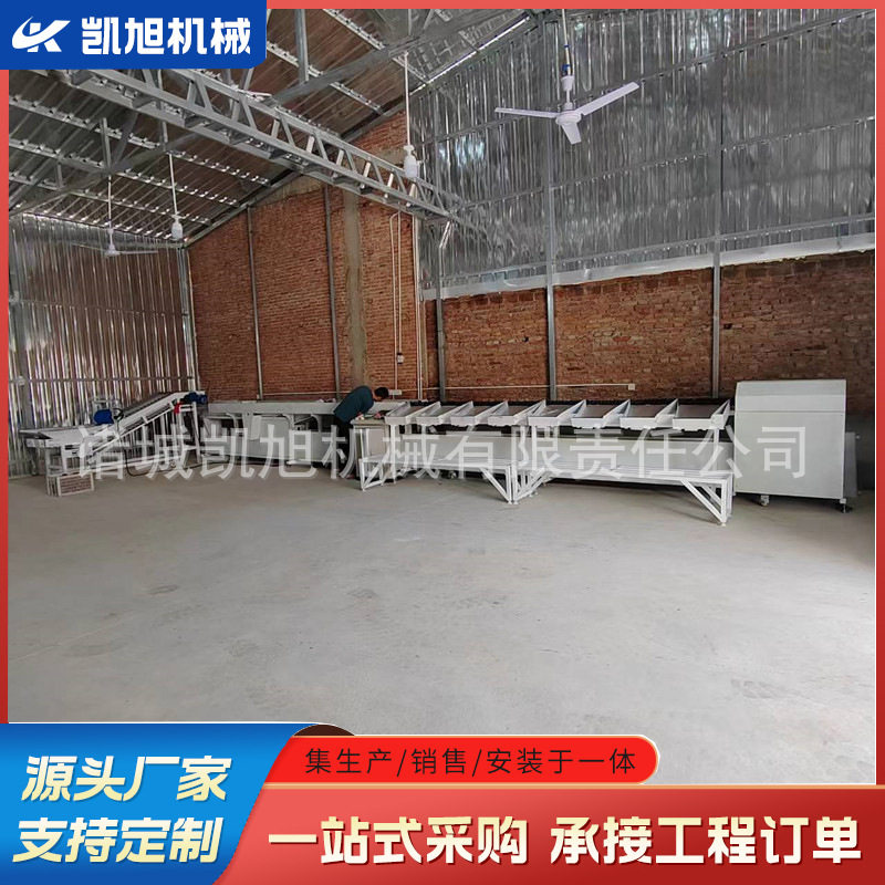 全自动智能称重分选机
