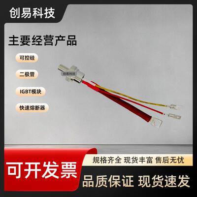 SD200R16PCS200R20PCSD4200R24PCSD200N16PCDSD20VAA0N2P0PC/N2C