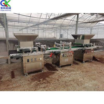 全自动穴盘育农苗播种机QK-150LZQ型吸式针用种植机农用小型点播