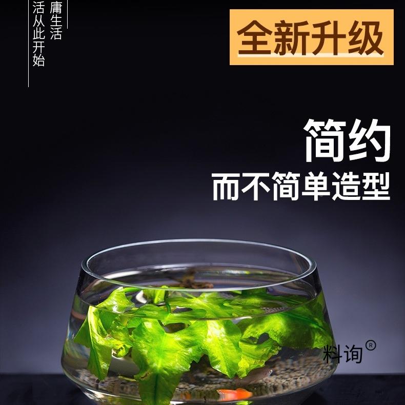 玻璃鱼缸家客小型乌厅龟风水招财用桌面生态水族箱金鱼缸缸玻SH85