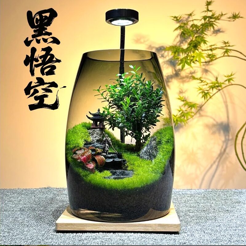 步步高升苔藓微景观生态瓶创意植物造景养鱼缸办公室桌面摆件