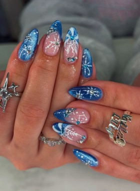 冬日蓝色雪花海莉穿戴甲手工中长款老钱简约美甲高级绝美杏仁指甲