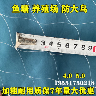 鱼塘防鸟网养殖防大鸟青蛙泥鳅锦鲤养殖场天网4公分5公分防鸟天网