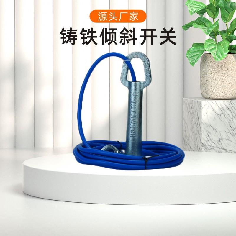 倾斜开关ST-20水银煤流开关SL23-8铸铁不锈钢堵煤煤流防爆20-395M