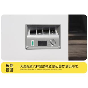 柜商用家用式冰箱冷藏双温铜管冷冻柜超冰市雪糕卧柜卧式225冰柜